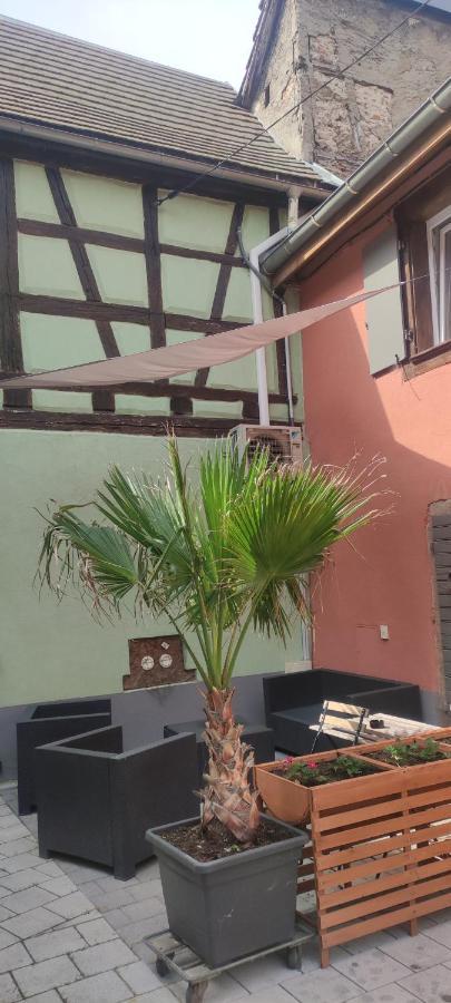 Gite Chez "Mamie Schlop" Kientzheim Dış mekan fotoğraf