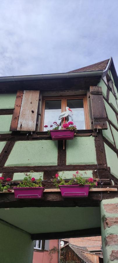 Gite Chez "Mamie Schlop" Kientzheim Dış mekan fotoğraf