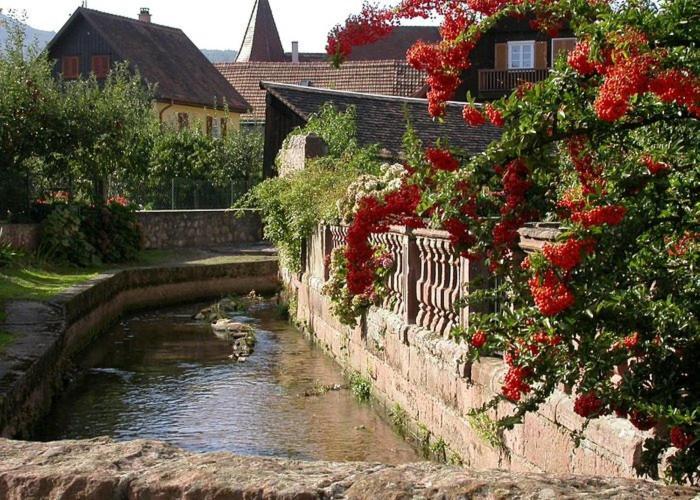 Gite Chez "Mamie Schlop" Kientzheim Oda fotoğraf