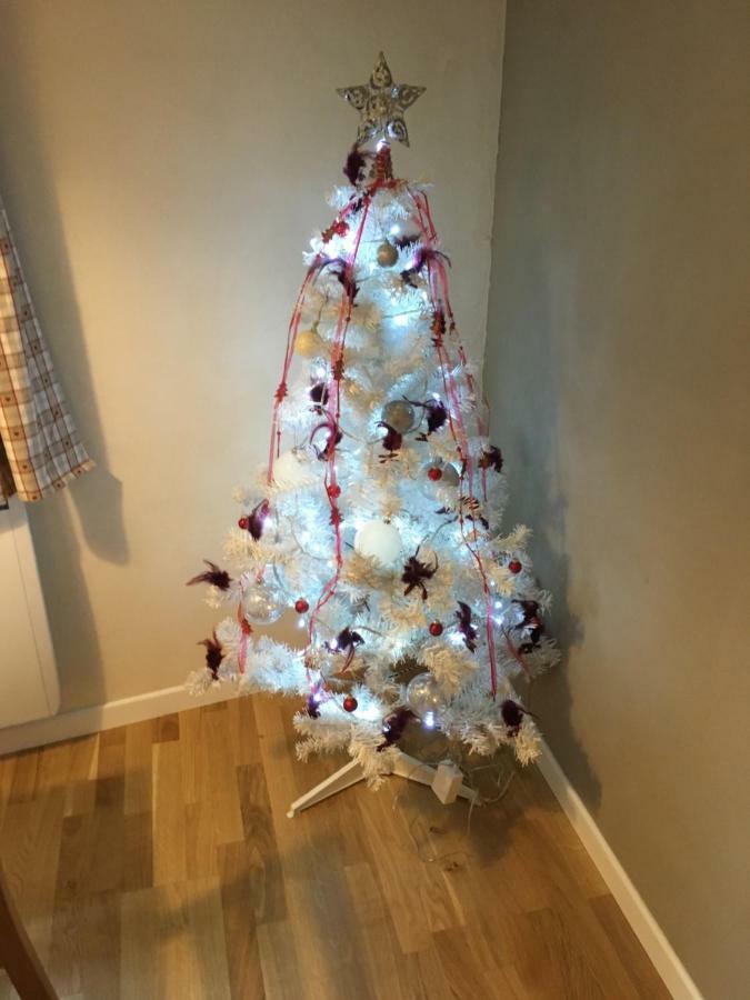 Gite Chez "Mamie Schlop" Kientzheim Dış mekan fotoğraf