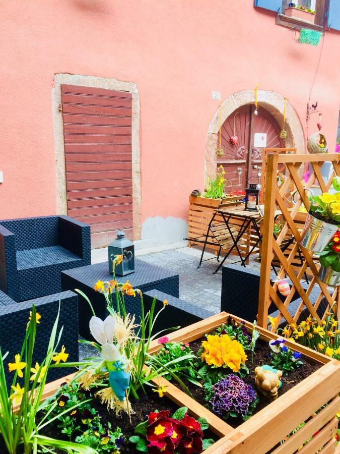 Gite Chez "Mamie Schlop" Kientzheim Dış mekan fotoğraf