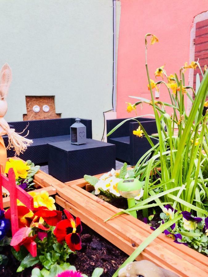 Gite Chez "Mamie Schlop" Kientzheim Dış mekan fotoğraf